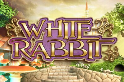 tragaperras white rabbit